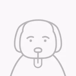 staff profile