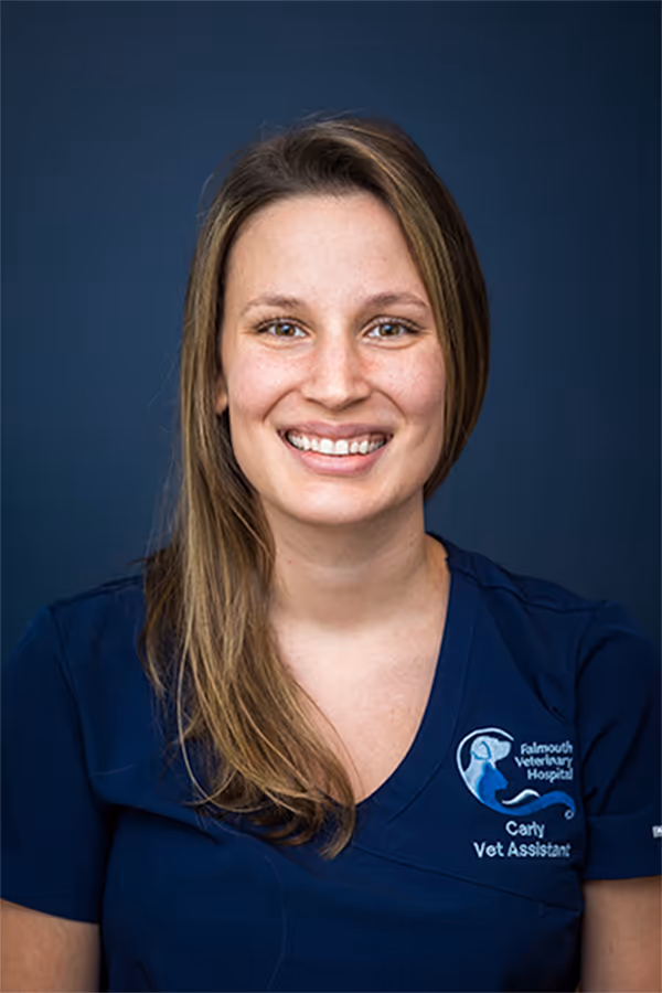 staff profile