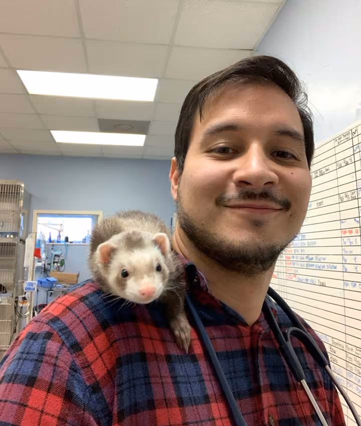 staff profile