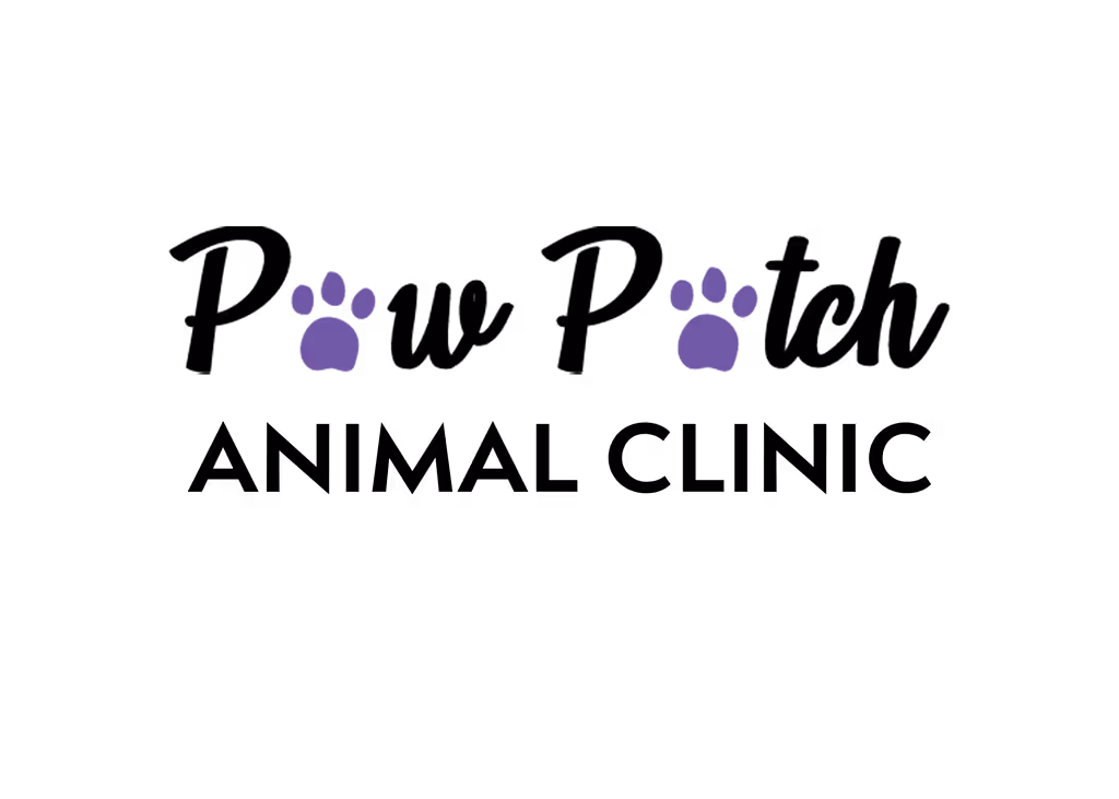 staff profile