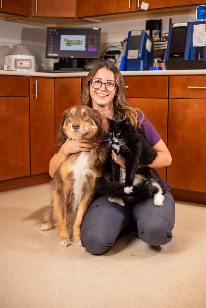 staff profile
