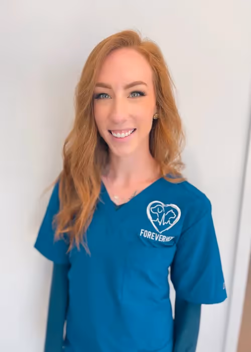 staff profile