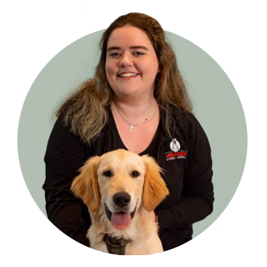 staff profile