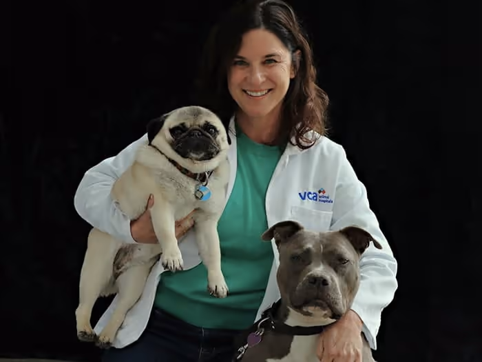 staff profile