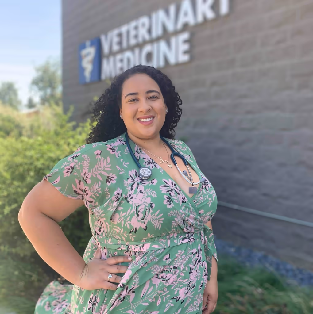 staff profile