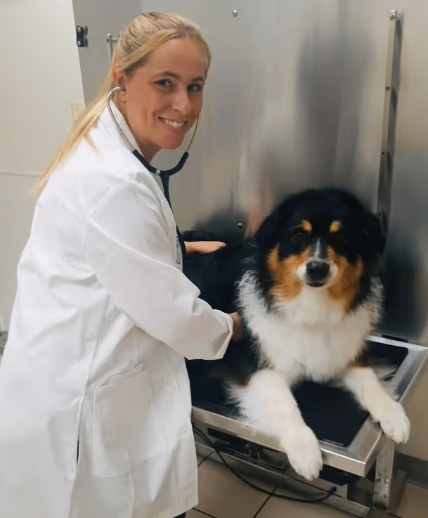 staff profile