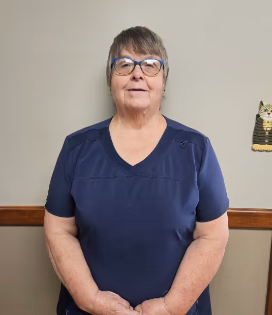staff profile