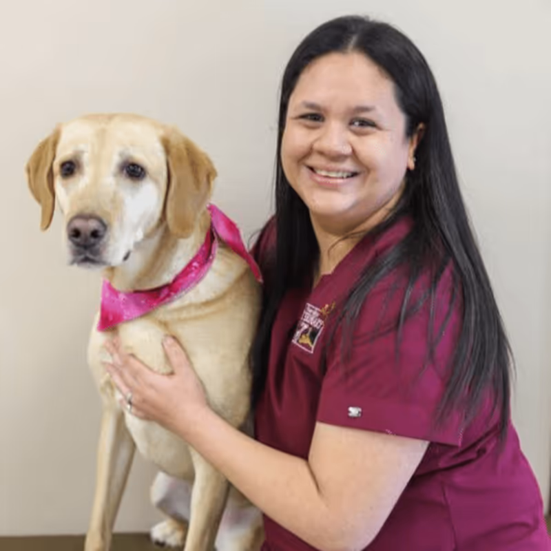 staff profile