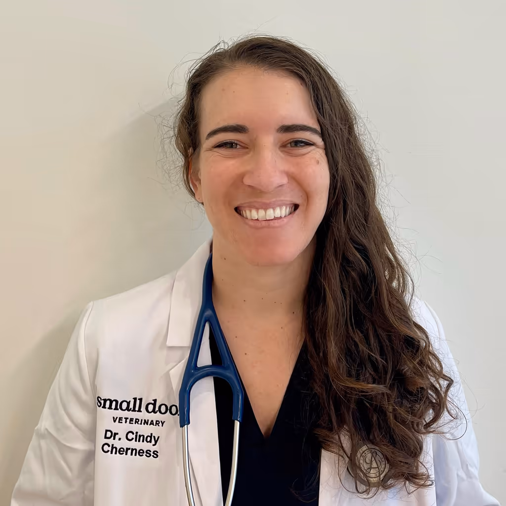 staff profile