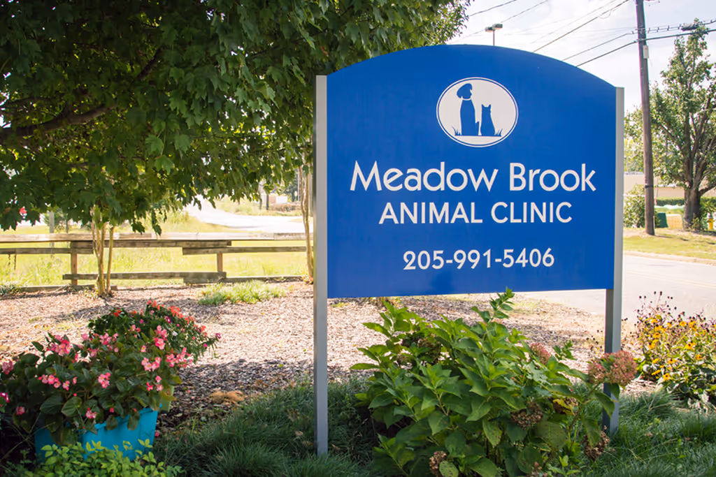 Meadow Brook Animal Clinic - Pet services facility
