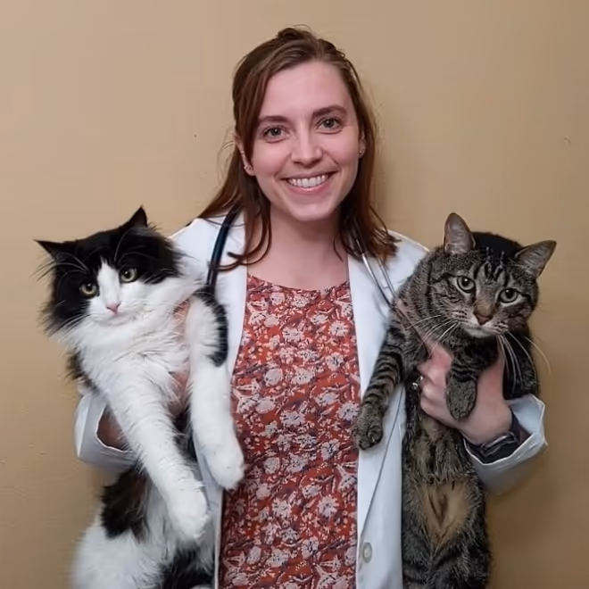 staff profile