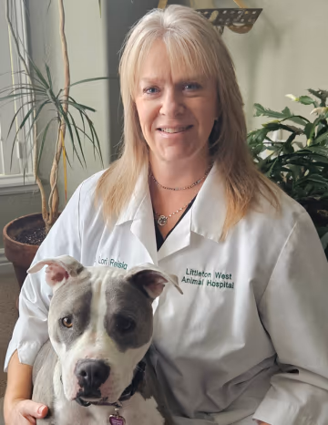staff profile