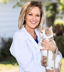 staff profile