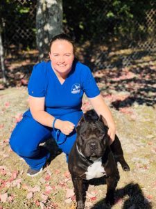 staff profile