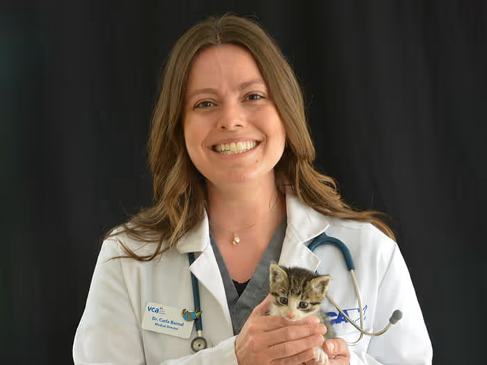 staff profile