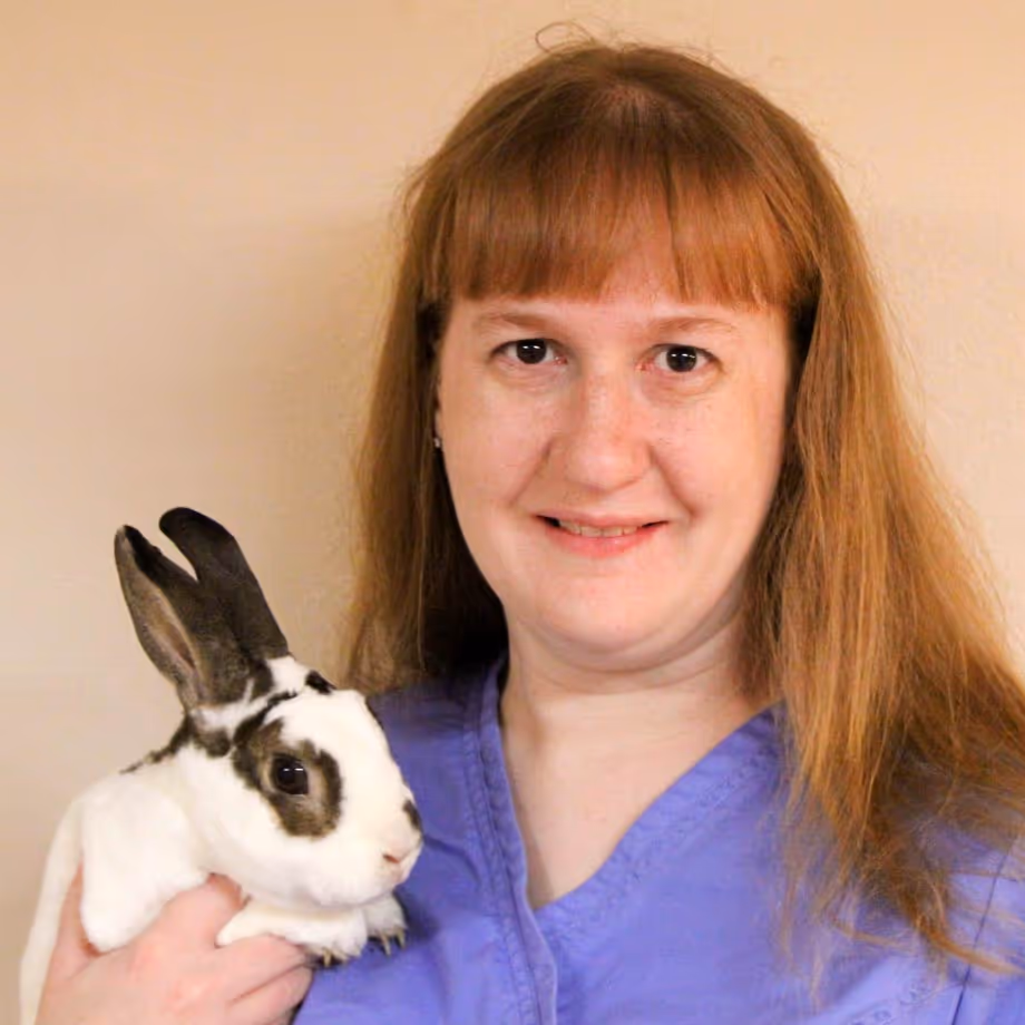 staff profile