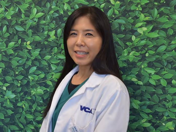 staff profile