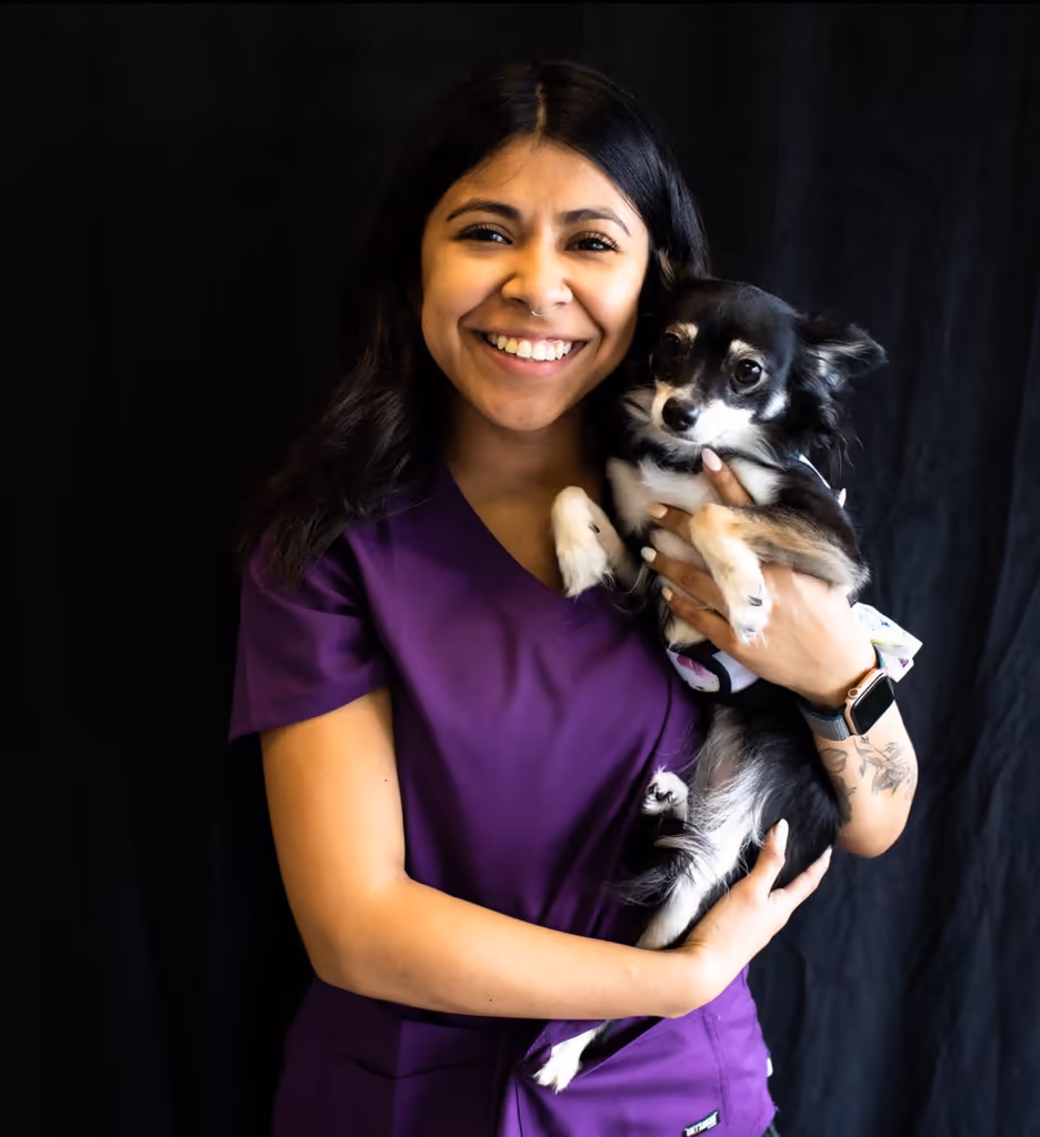 staff profile