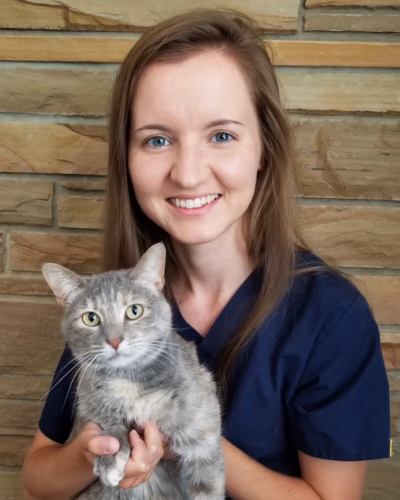 staff profile