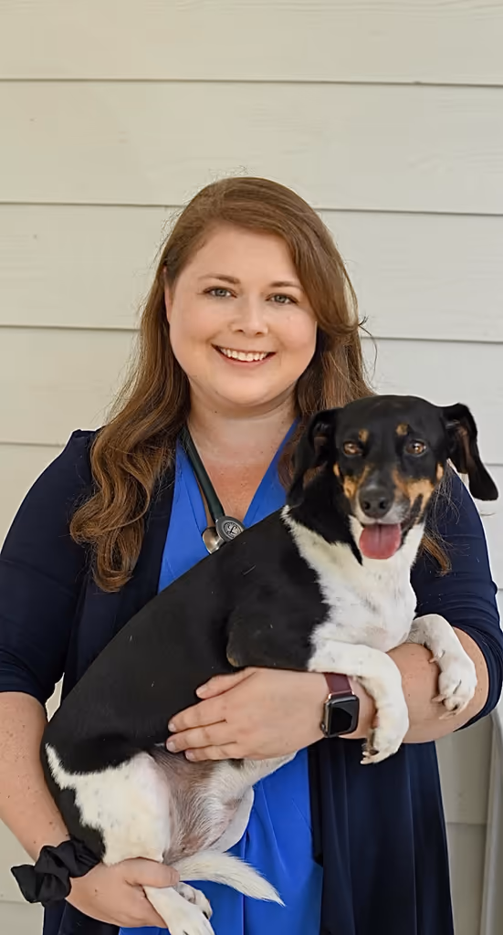staff profile