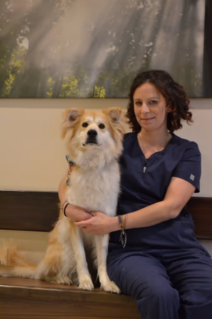 staff profile