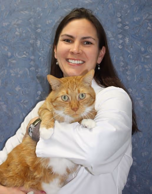 staff profile