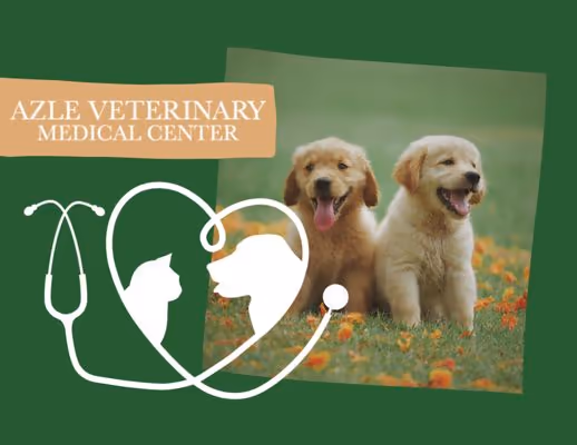 facility profile image