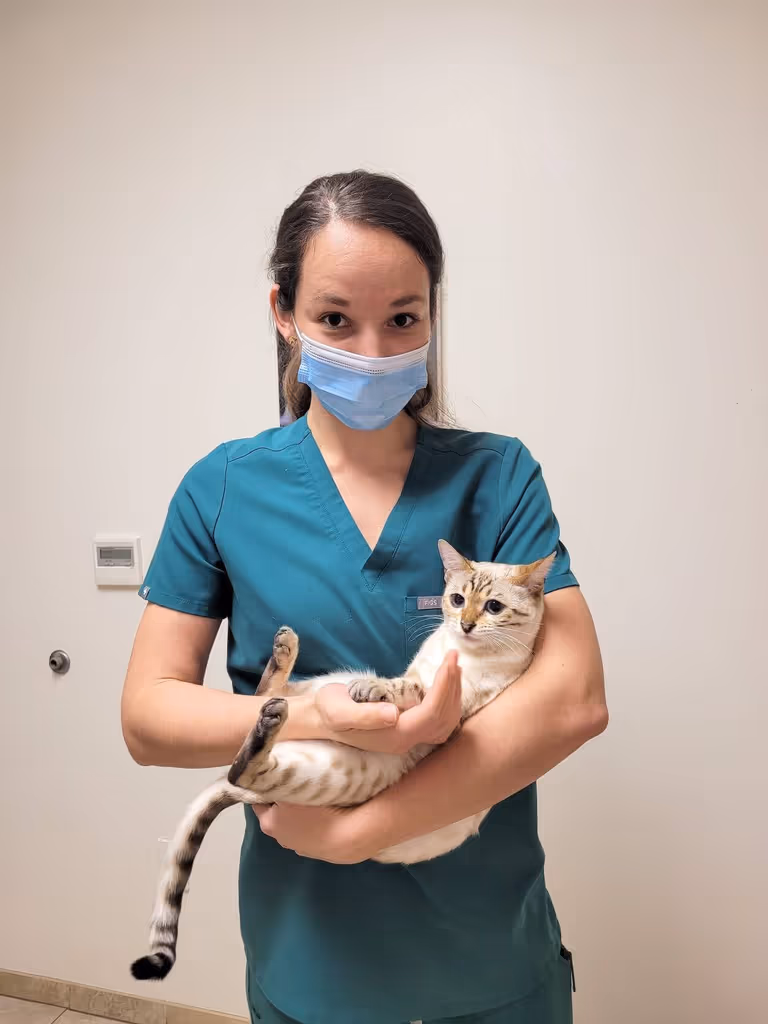 staff profile