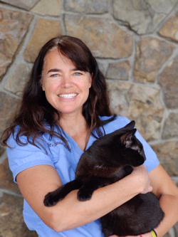 staff profile