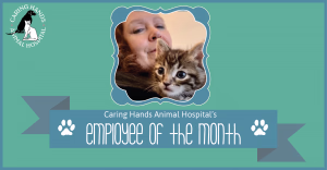 staff profile