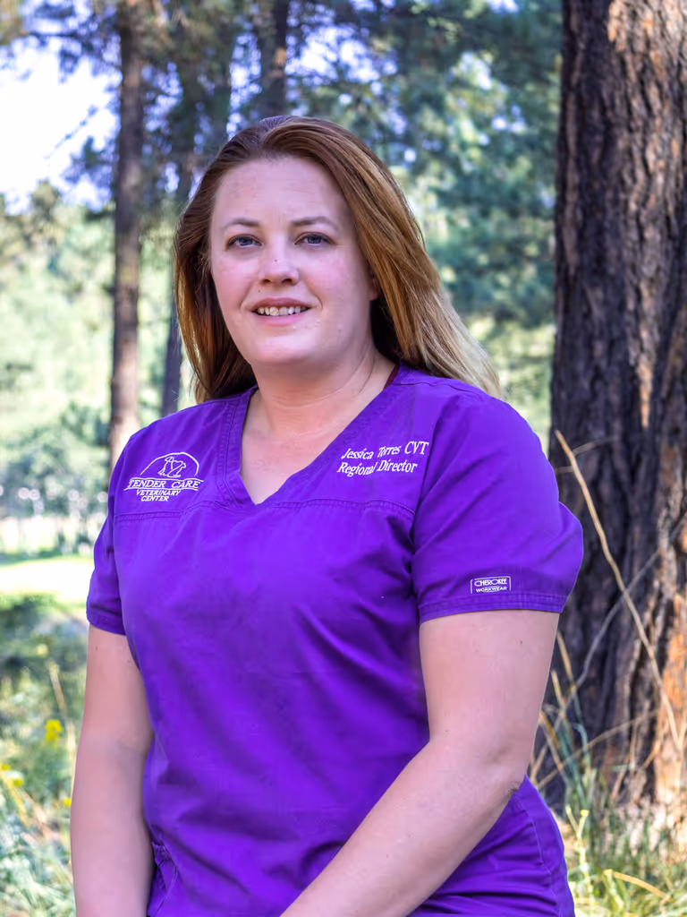 staff profile