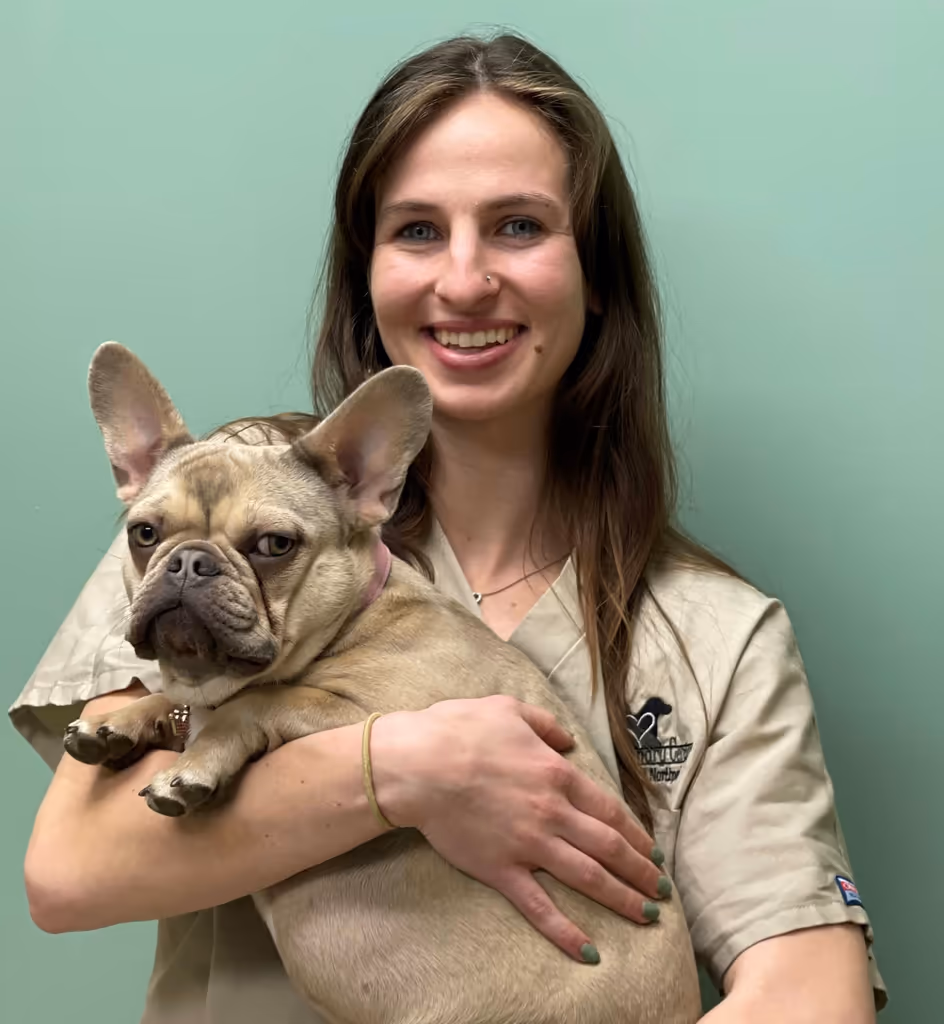staff profile