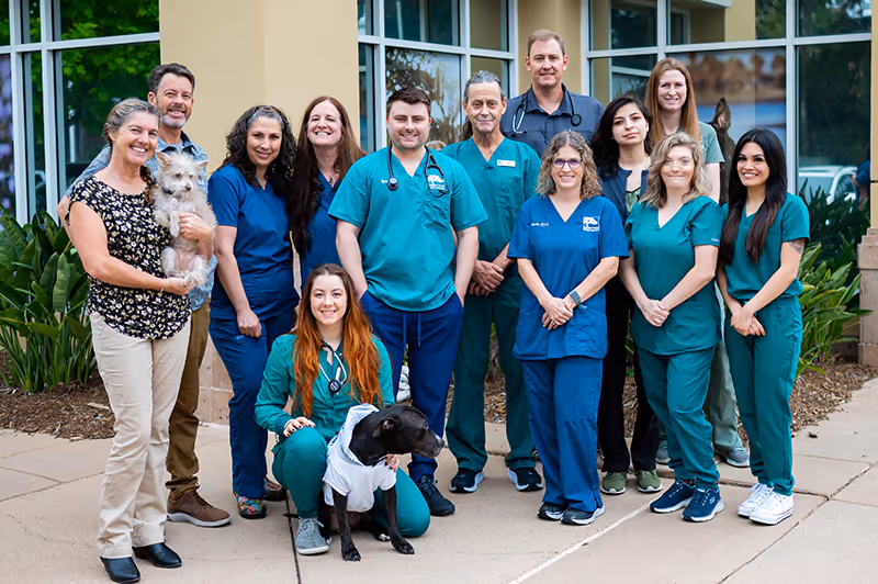 staff profile