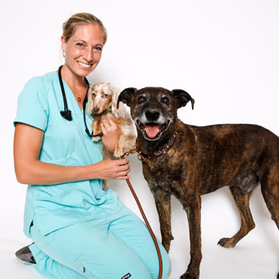 staff profile