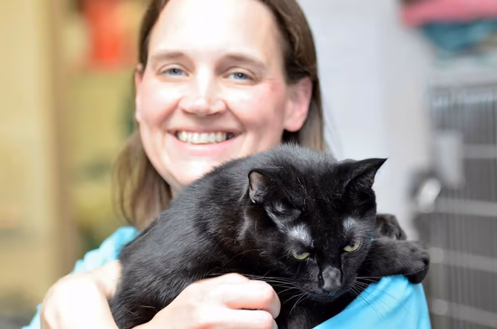 staff profile