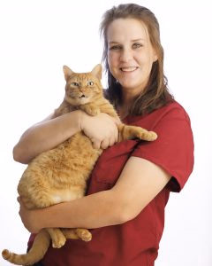 staff profile