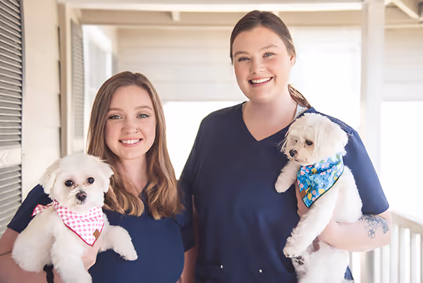 staff profile