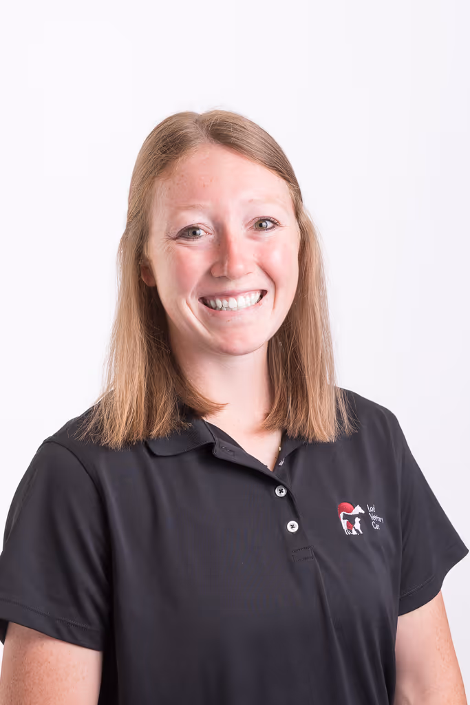 staff profile