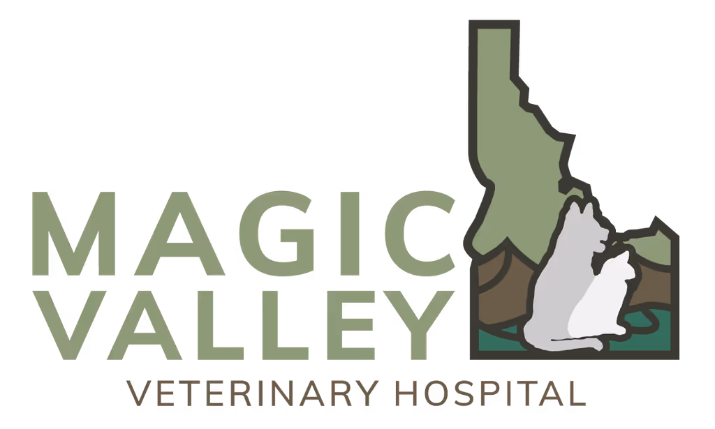 staff profile