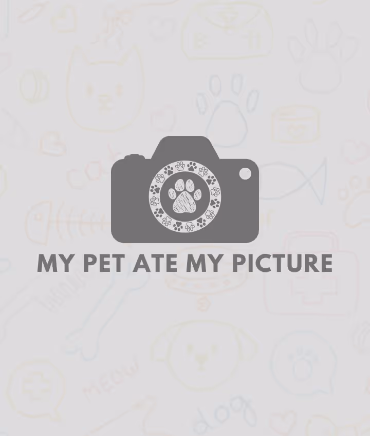 staff profile