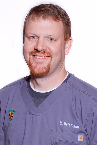 staff profile