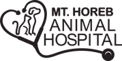 staff profile