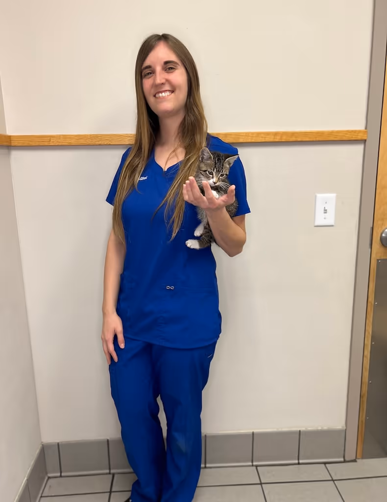 staff profile