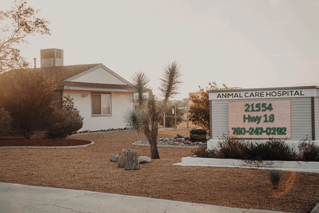 Animal Care Hospital - Pet services facility