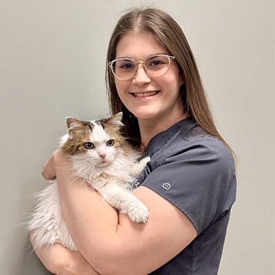 staff profile