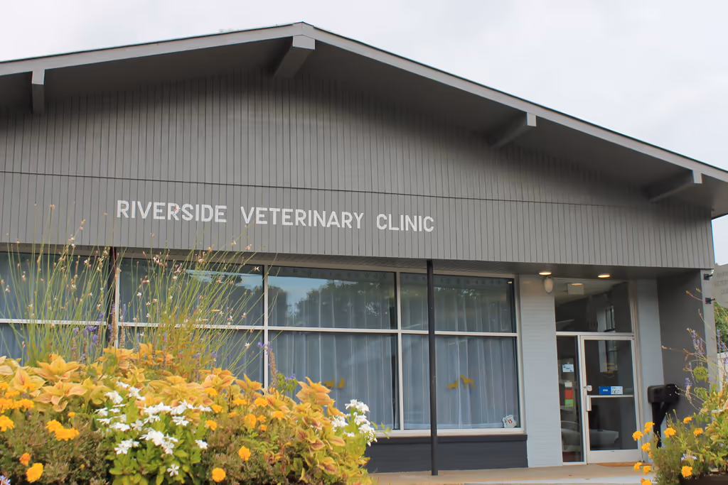 facility profile image