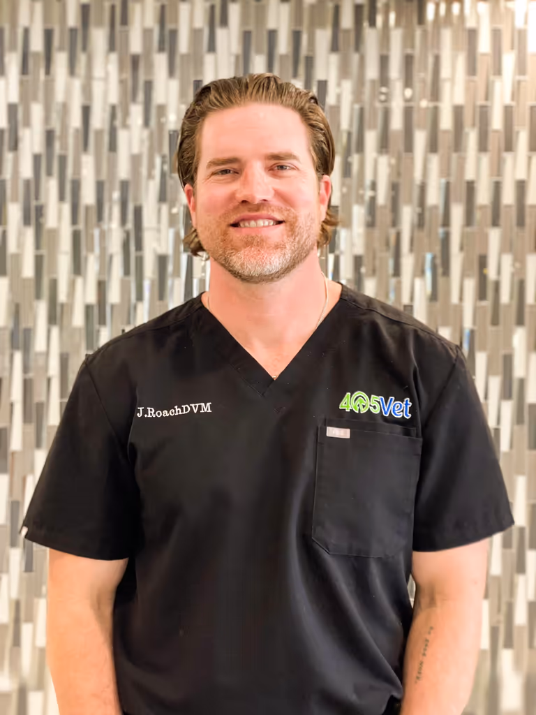 staff profile