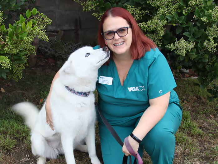 staff profile