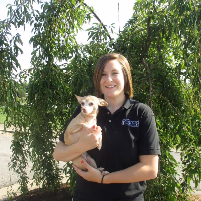 staff profile