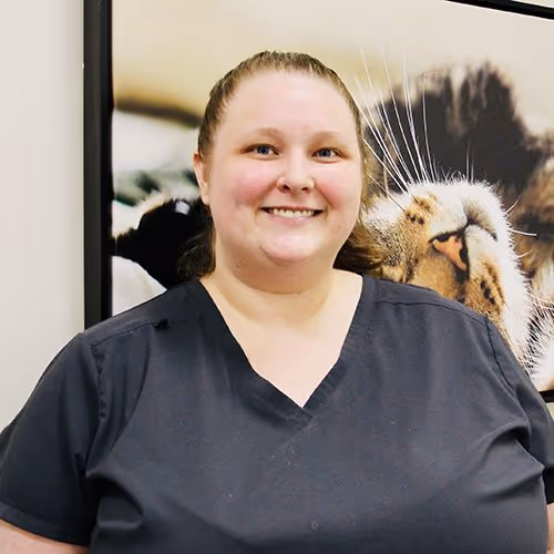 staff profile